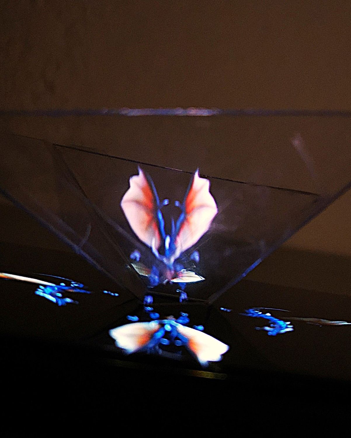 Foto